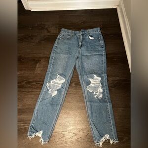 American Eagle Outfitters Blue Distressed Skinny Jeans